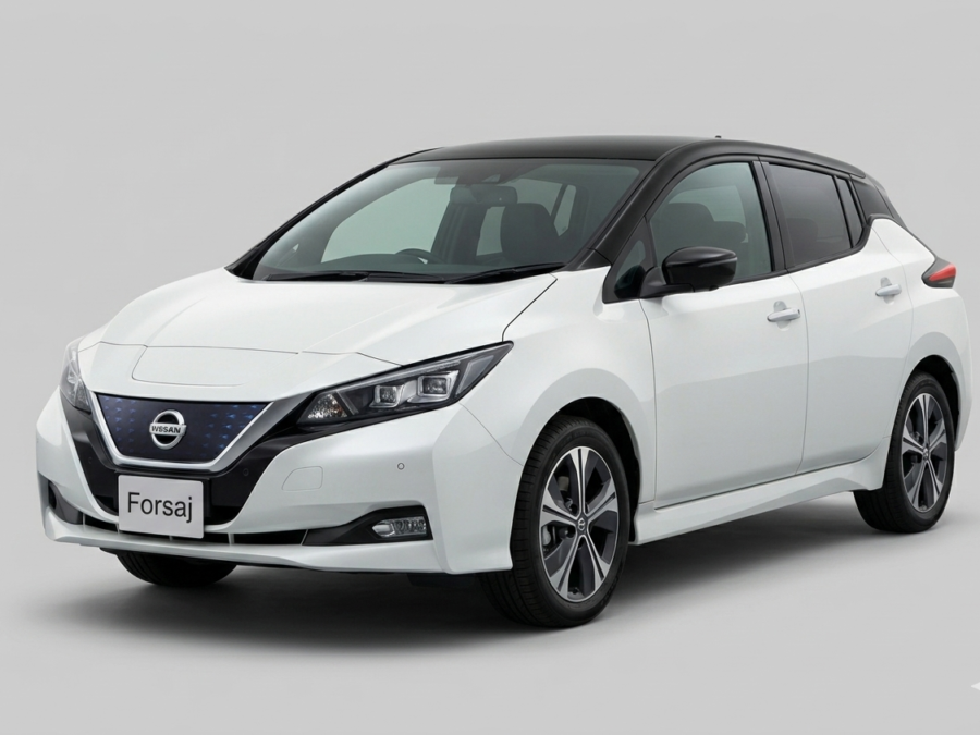 Nissan Leaf in Chirie